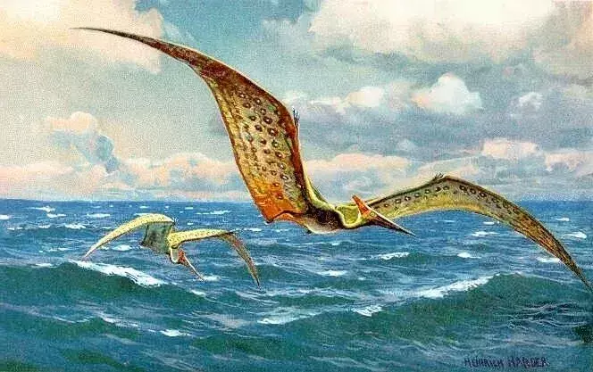 Ludodactylus är en flygande reptil.