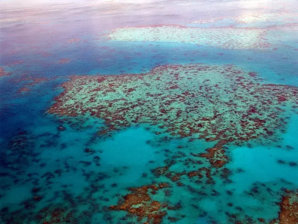 Fakta om forurensning fra Great Barrier Reef og hva vi trenger å gjøre med det