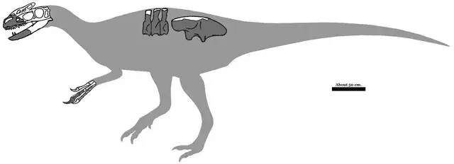 Sinotyrannus, fosilleri Çin'de bulunan egzotik bir dinozor türüydü.
