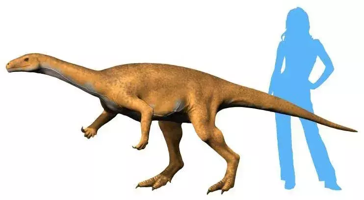 Çocukların Seveceği 19 Dinozor Bagualosaurus Gerçeği