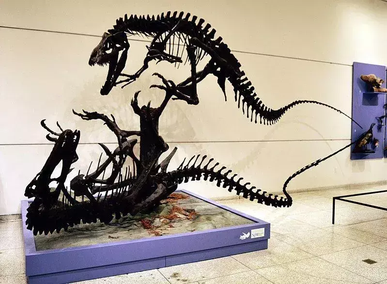 Dryptosaurus: 21 faktov, ktorým neuveríte!