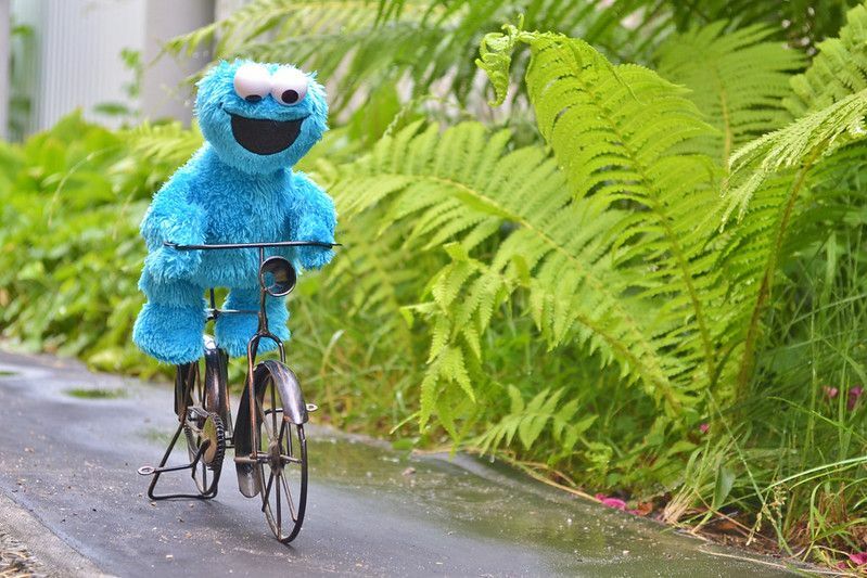 Cookie monster cyklar