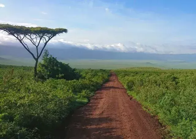 20 Ngorongoro Crater 사실: 이 큰 비활성 칼데라 탐험