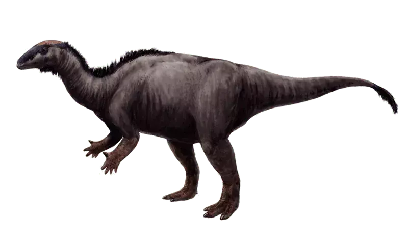 21 brølende fakta om Draconyx som barna vil elske