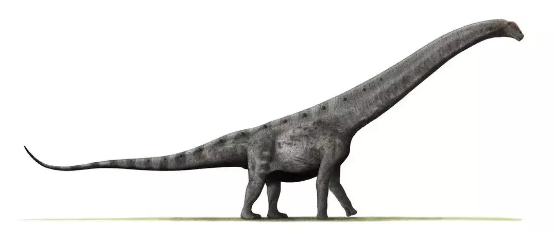 Aegyptosaurus: 당신이 믿지 못할 15가지 사실!