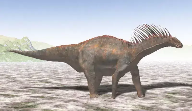 17 Fakta Amargasaurus yang Akan Disukai Anak-Anak