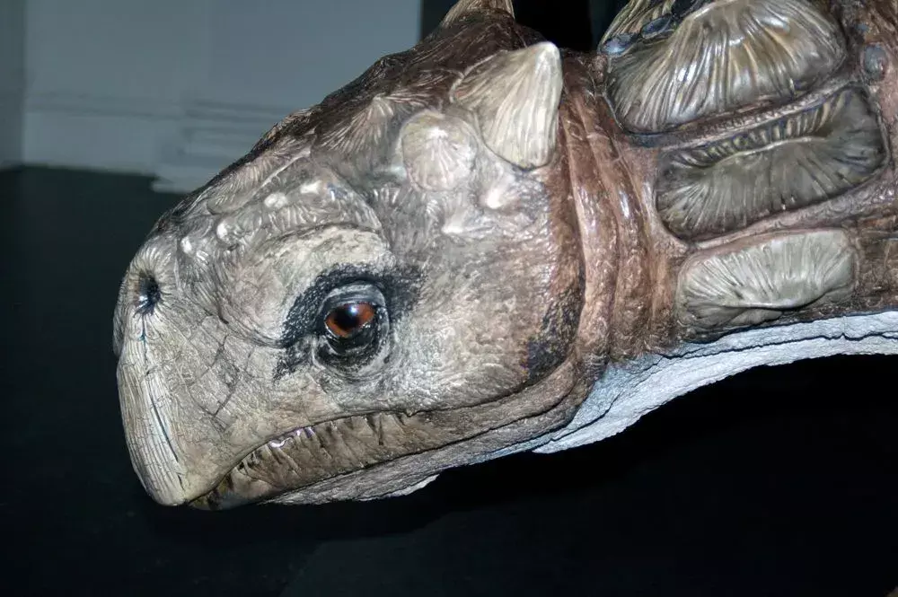 15 ohromujúcich faktov o Kunbarrasaurovi, ktoré budú deti milovať