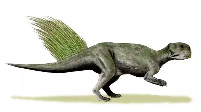 क्या तुम्हें पता था? 19 अतुल्य Psittacosaurus तथ्य