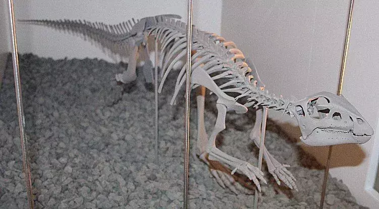 17 حقائق عن عث الديناصور Hypsilophodon سيحبها الأطفال