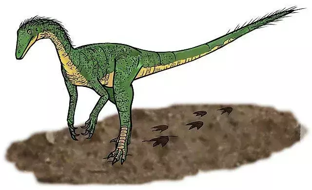 19 fatos sobre o dinossauro Tawa que as crianças vão adorar