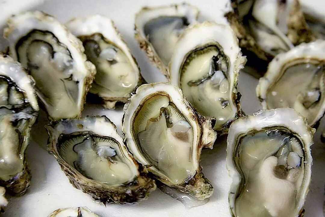 La valeur nutritive des huîtres en conserve Découvrez si elles peuvent être consommées sans danger