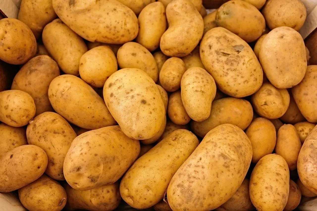 Aardappelen Voedingsfeiten Voordelen Nadelige effecten en nog veel meer