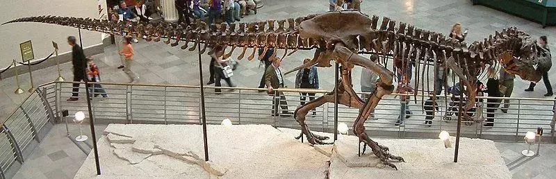 Saltriosaurus: 15 faits que vous ne croirez pas !