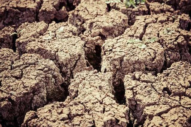 Fatos sobre a desertificação Saiba mais sobre o que podemos fazer para impedi-la
