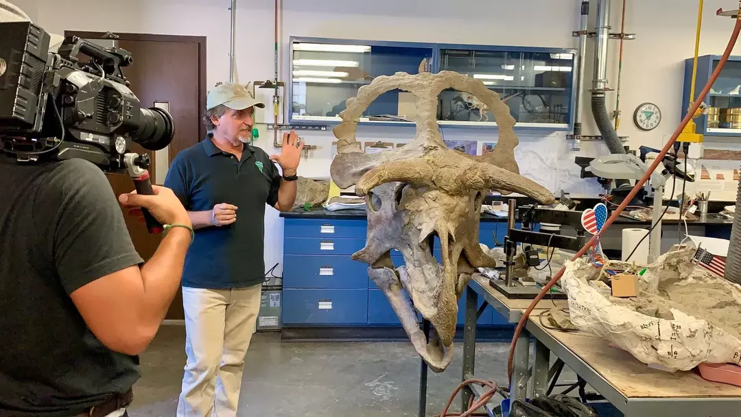 17 dejstev o Nasutoceratopsu, ki jih ne boste nikoli pozabili