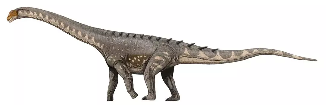 حقائق ممتعة عن Rayososaurus للأطفال