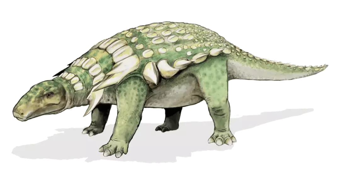 21 Dino-erkės Tiarajudens faktas, kuris patiks vaikams