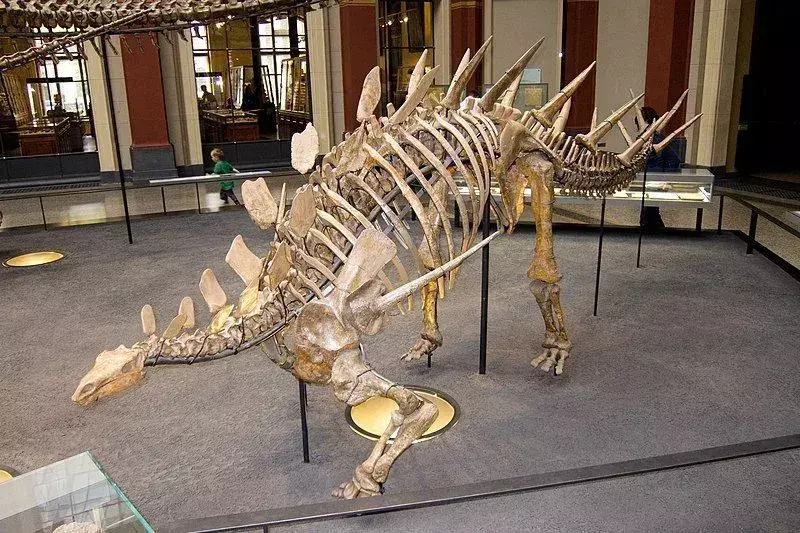 Yingshanosaurus: 15 feiten die je niet zult geloven!