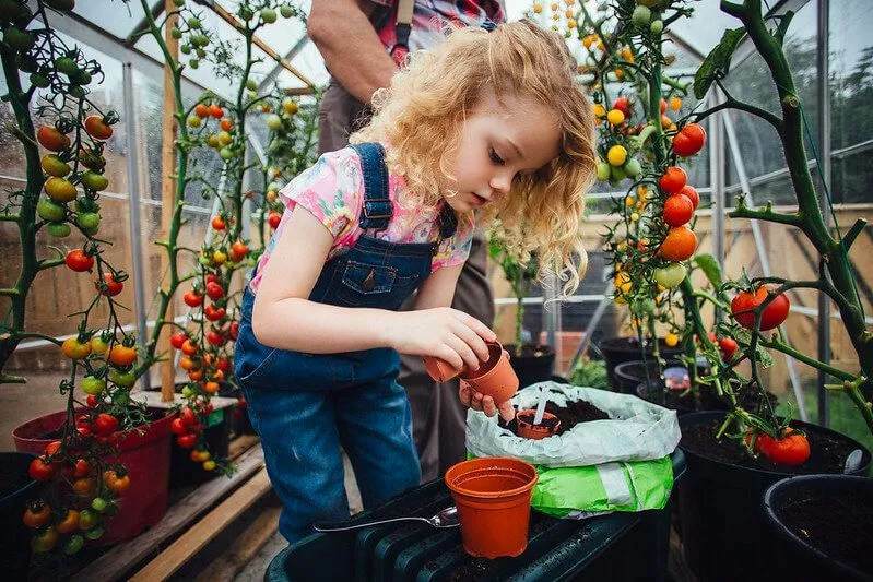 Jardineiro em treinamento: plantando sementes e outras ideias para jardins infantis