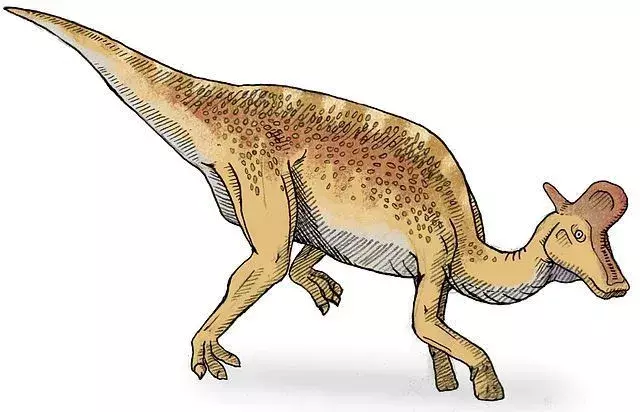 Ти знав? 17 неймовірних фактів про ламбеозавра