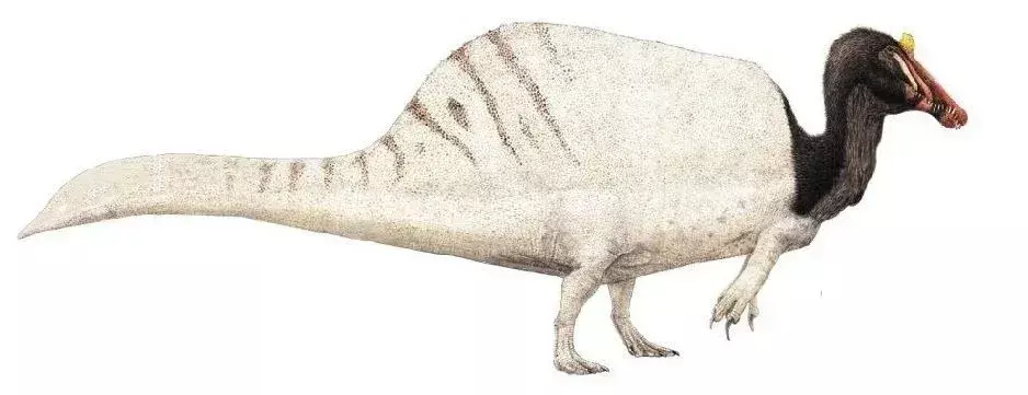 Sigilmassasaurus: 19 fatti a cui non crederai!