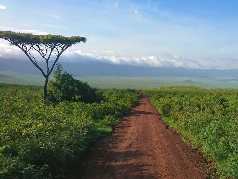 Ngorongoro kraater, Tansaania