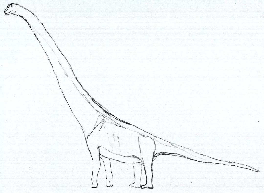 Heber Longman a descris Austrosaurus în anul 1933.