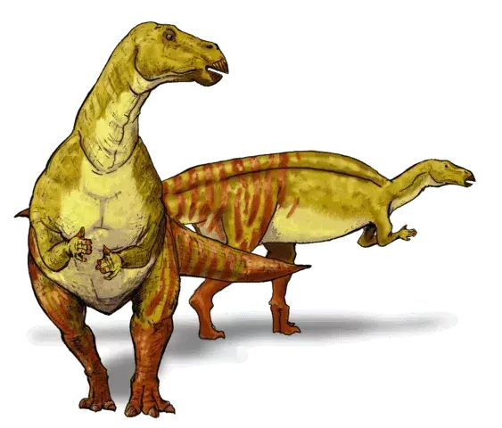 Valdoraptor: 17 фактів, у які ви не повірите!