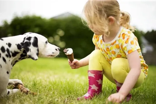 νεαρή κοπέλα που μοιράζεται παγωτό με τον σκύλο της