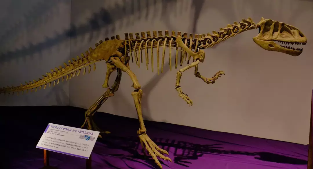 15 Dino-mite Yangchuanosaurus Fatti che i bambini adoreranno