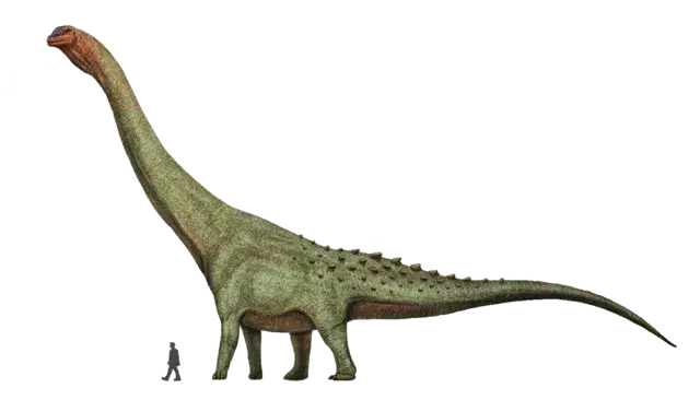 21 Dino-mite Patagotitan ข้อเท็จจริงที่เด็ก ๆ จะหลงรัก
