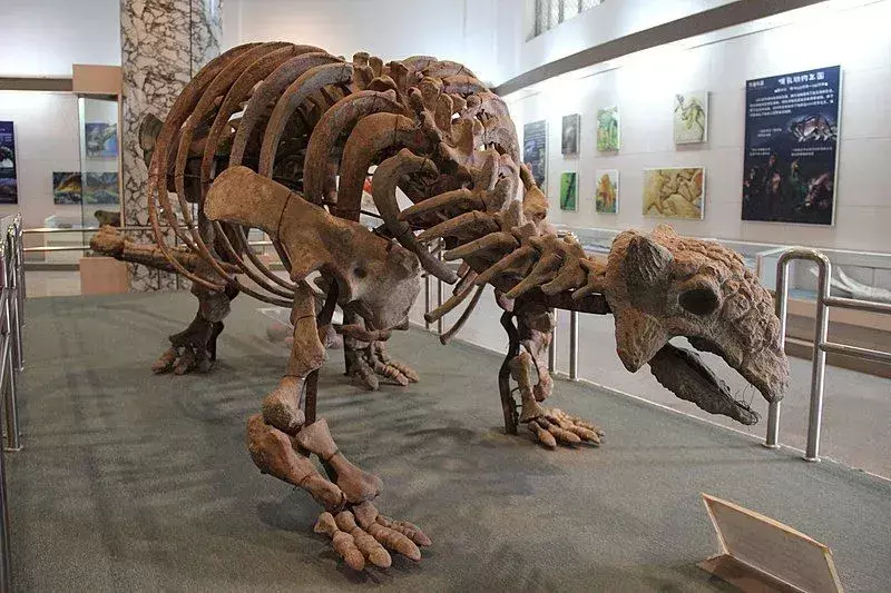Hanya tulang paha kanan tunggal Cryptosaurus yang ditemukan hingga saat ini.