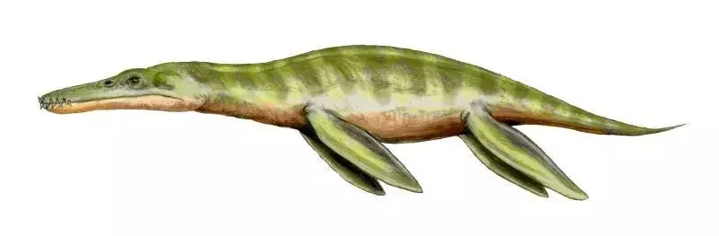 15 finsmakande fakta om Liopleurodon för barn
