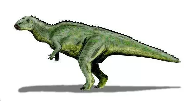 Lanzhousaurus: 15 faktaa, joita et usko!