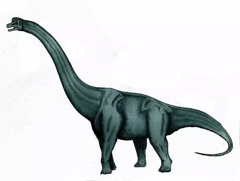 19 Dino-mite Sauroposeidon Fakty, które dzieci pokochają