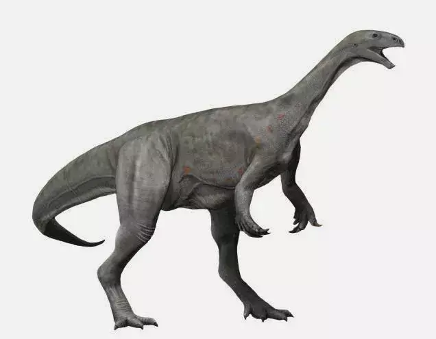 17 Dino-mite Thecodontosaurus fakta för barn