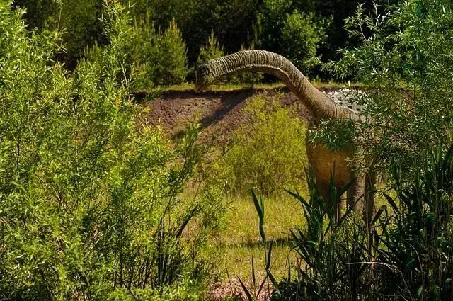 17 Pelorosaurus-faktaa, joita et koskaan unohda