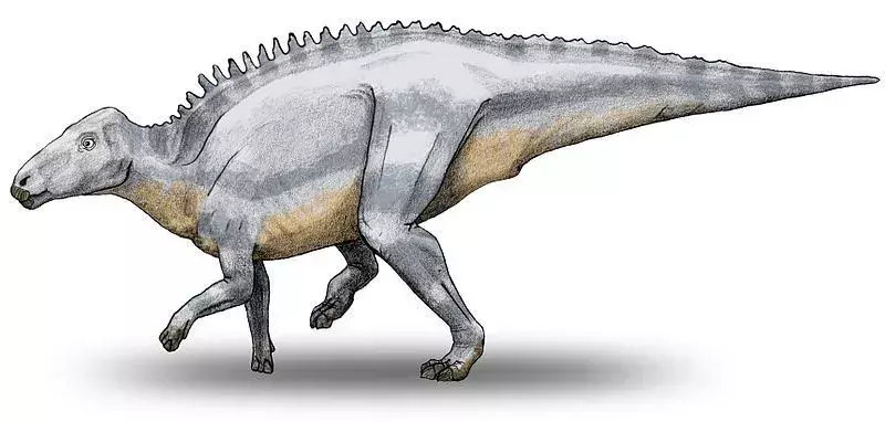 Çocukların Seveceği 21 Dinozor Telmatosaurus Gerçekleri