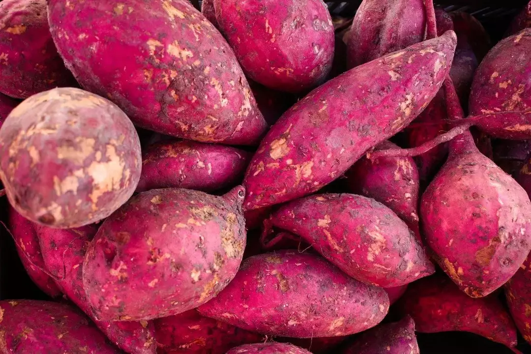 19 raudonųjų saldžiųjų bulvių mitybos faktų, dėl kurių jie geriau pasirenka maistą!