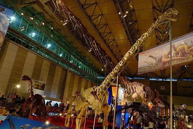 21 kjeve-noen fakta om Phuwiangosaurus for barn