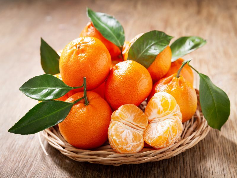 האם כלבים יכולים לאכול תפוזים מנדריניים האם זה קליפה עבורם