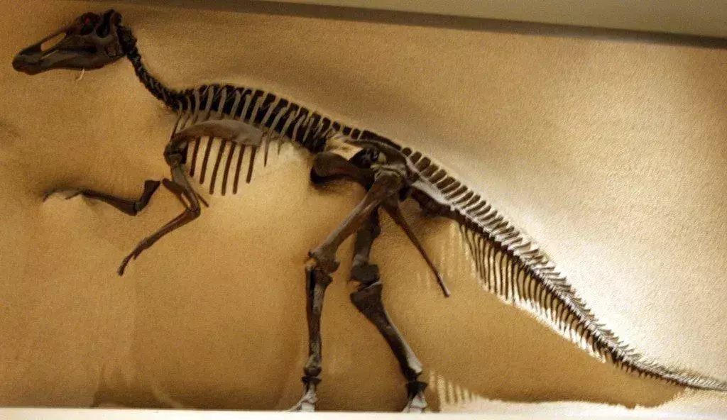 21 من حقائق الديناصورات عن إدمونتوسوروس التي سيحبها الأطفال