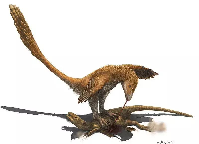 15 faktů o Zephyrosaurovi, na která nikdy nezapomenete