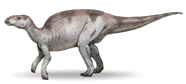 Visste du? 17 otroliga Probactrosaurus-fakta