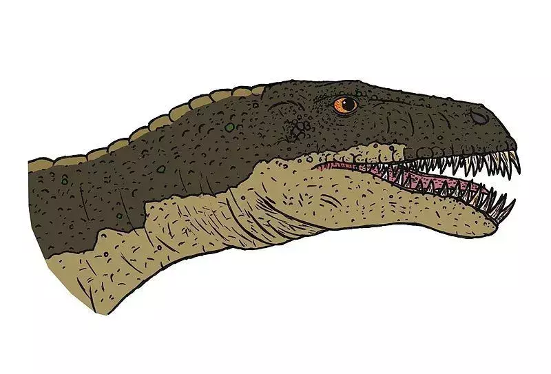 Tudtad? 17 hihetetlen Masiakasaurus-tény