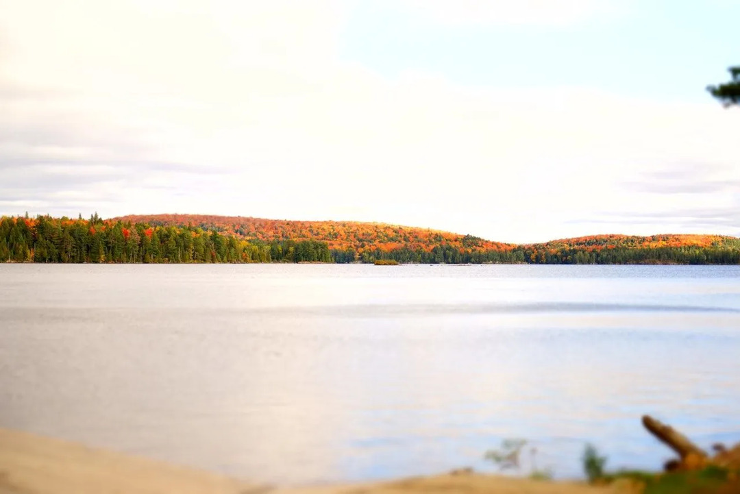 Zábavná fakta o jezeře Ontario pro milovníky přírody