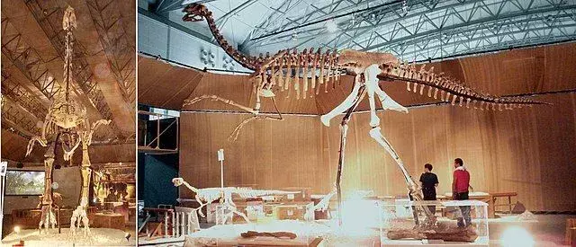 21 dejstev o gigantoraptorju dino-pršice, ki bodo všeč otrokom