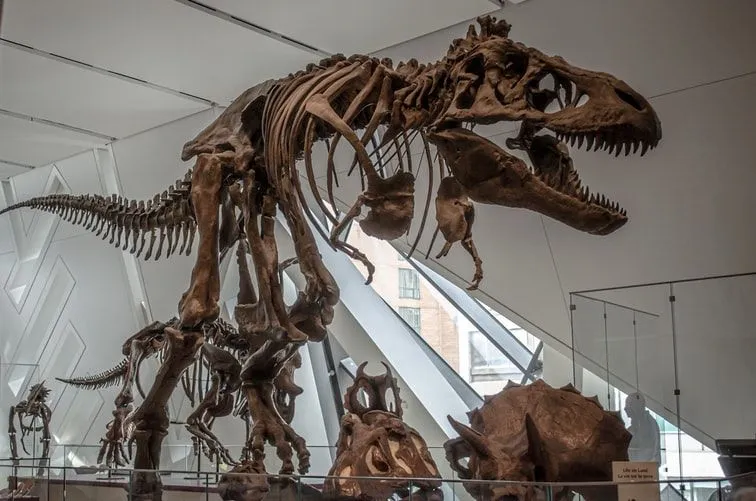 80 beste sitater om dinosaurer for fans av naturhistorie