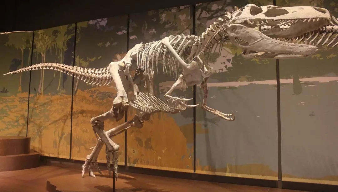 Asla Unutmayacağınız 15 Appalachiosaurus Gerçekleri
