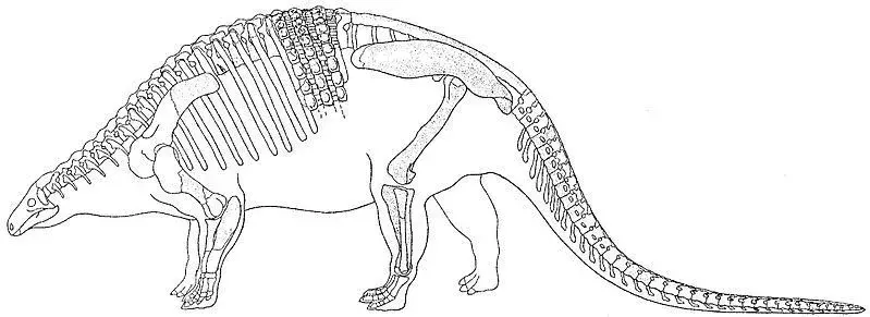 21 faits sur le dino-acarien Niobrarasaurus que les enfants adoreront